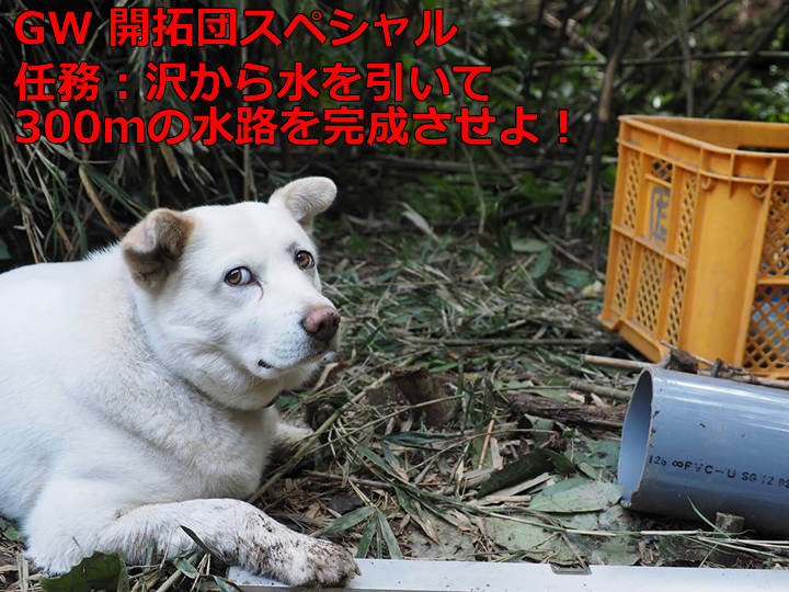 開拓GW(第五回)レポート!_c0177665_15522857.jpg