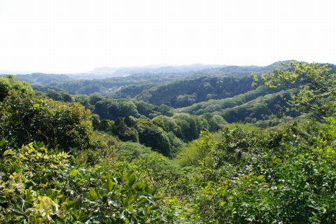 明月院前から天園ハイキングコースへ_e0045768_222375.jpg