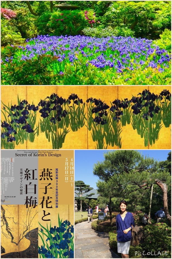根津美術館「燕子花図屏風」と庭園の燕子花_a0138976_1718114.jpg