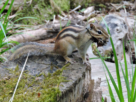 f0083977_5512363.jpg