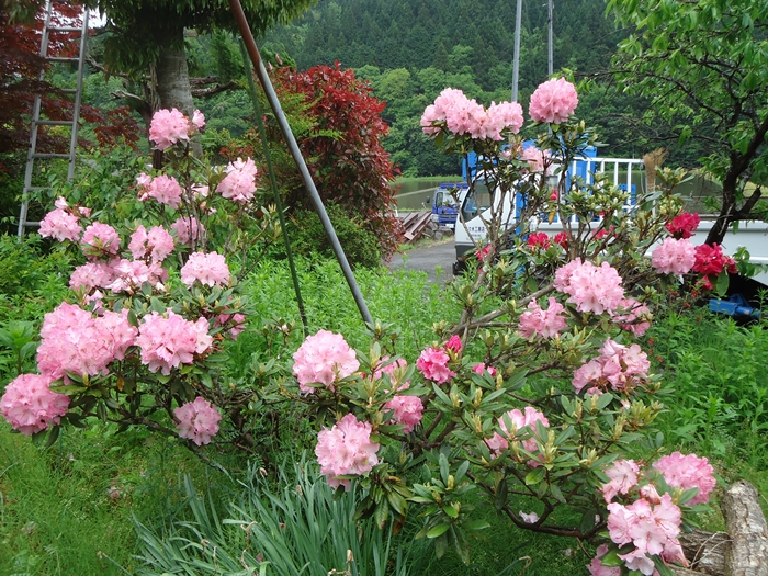a0199979_21142949.jpg