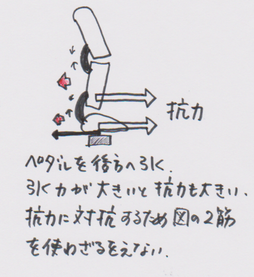 f0131183_1556373.png