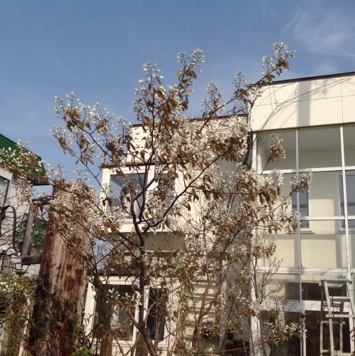 c0078586_16432491.jpg