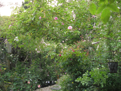 b0224889_65001.jpg