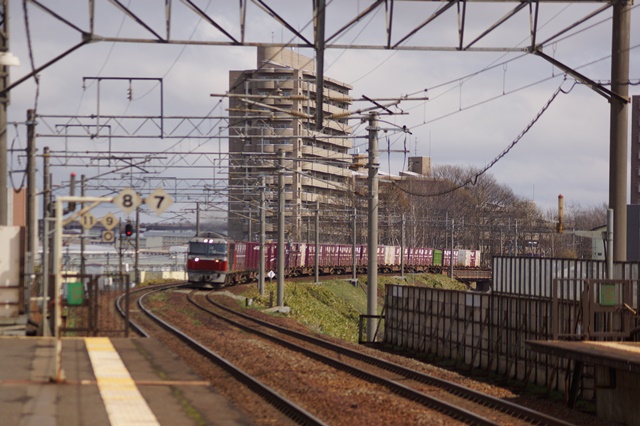 d0181492_1621119.jpg