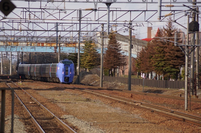 藤田八束と貨物列車:千歳線北広島駅にて貨物列車「RED BEAR」を拝見・・・元気な姿に思わずにっこり_d0181492_16452871.jpg