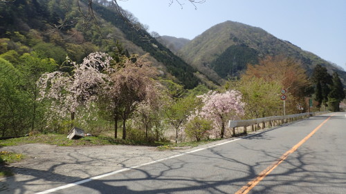 BRM509宇都宮300km栃木路(試走)_a0338094_23260626.jpg