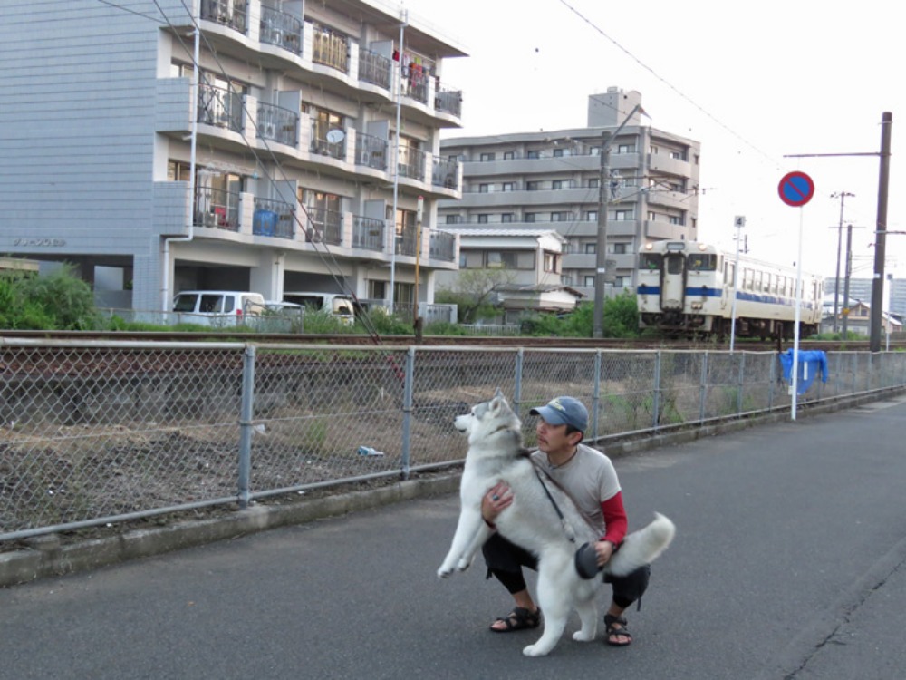 観察日記 (*^_^*)_c0049299_22273869.jpg