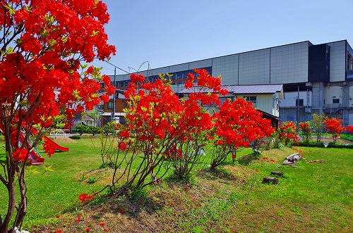 c0336902_1631743.jpg