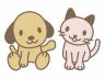 里親さま募集中 ☆ ふうた_f0242002_1052526.jpg