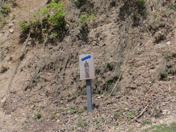 c0266004_8474072.jpg