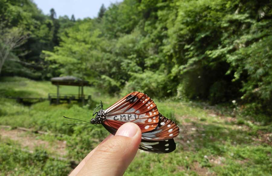 e0253104_23264956.jpg