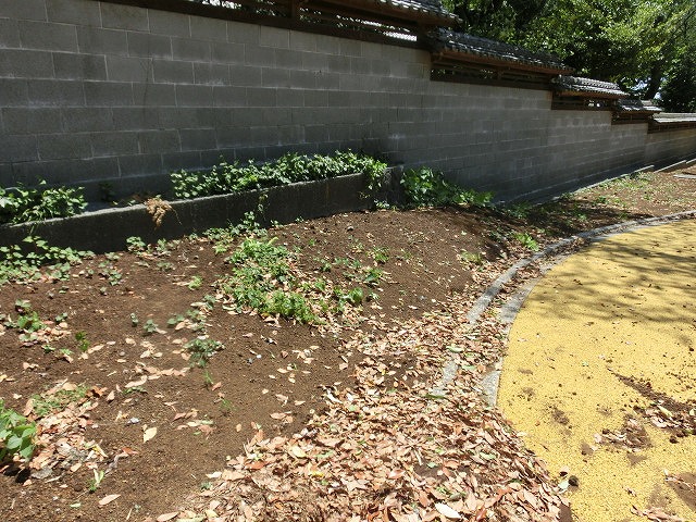 これから重要になる吉原公園・東泉院広場の維持管理と活用_f0141310_656430.jpg