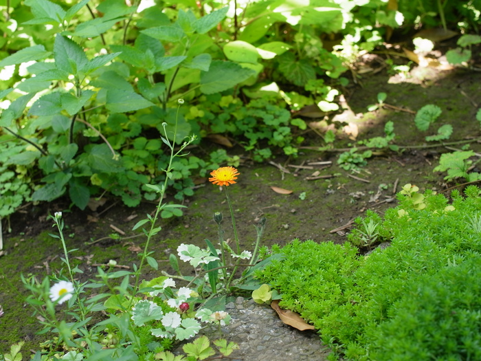 e0276411_041047.jpg