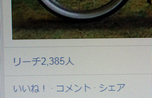 a0139912_7453685.jpg