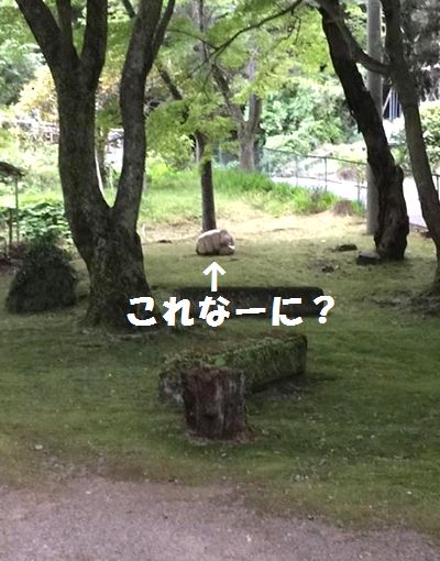 加満田の庭に怪しい物体が・・・_e0234016_2153033.jpg