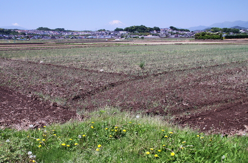 d0240223_7111225.jpg