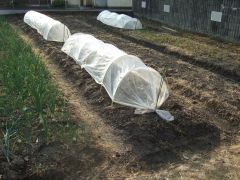 夏野菜の植え付け2015_d0041124_7515192.jpg