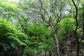 e0103024_18134897.jpg