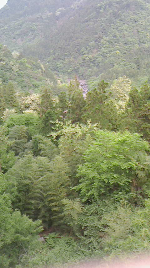 e0016828_15451549.jpg