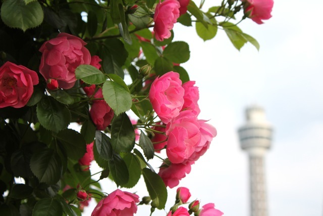f0348831_07514992.jpg