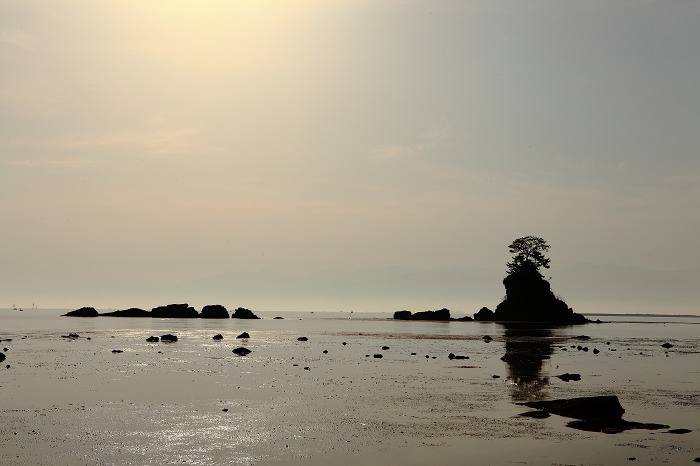 a0294534_2025749.jpg