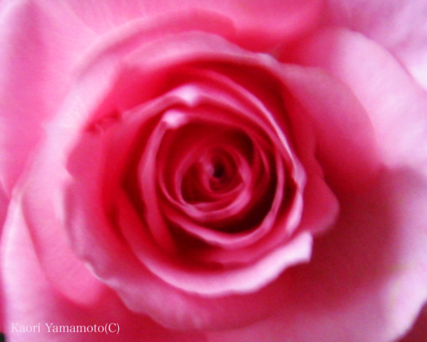 a0095337_00294724.jpg