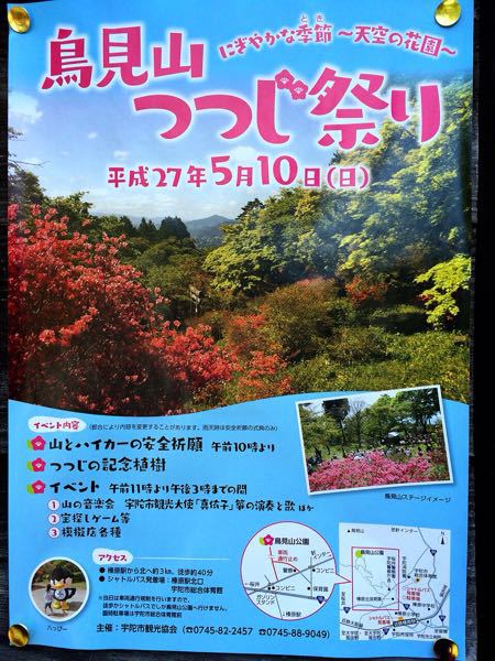 花暦ウォーク@鳥見山&長谷寺コース_e0292546_7204491.jpg