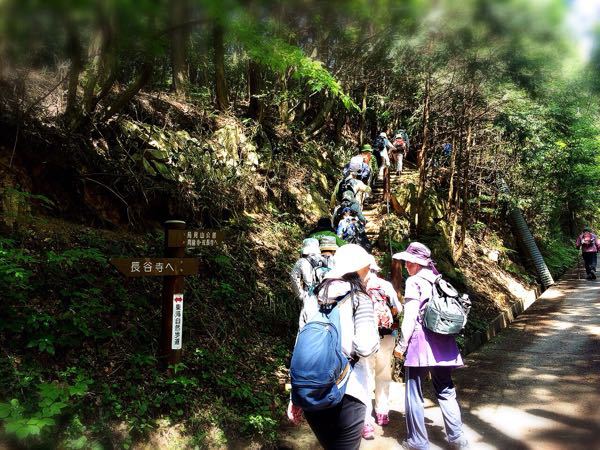 花暦ウォーク@鳥見山&長谷寺コース_e0292546_7204628.jpg