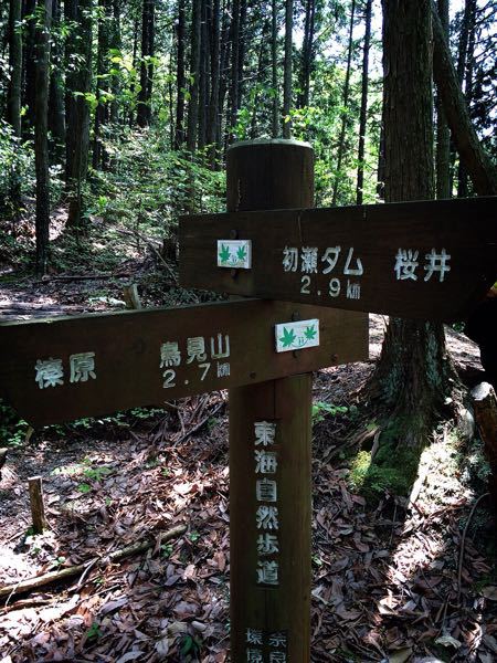 花暦ウォーク@鳥見山&長谷寺コース_e0292546_7211061.jpg