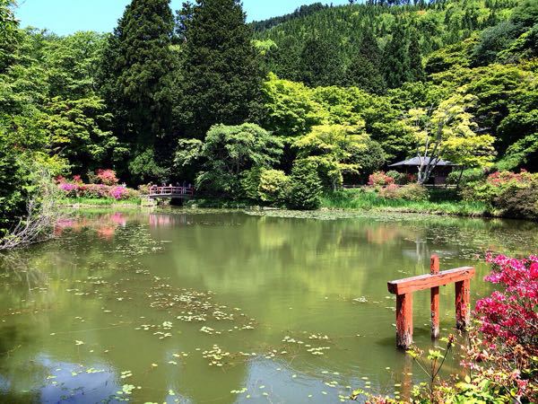 花暦ウォーク@鳥見山&長谷寺コース_e0292546_721985.jpg