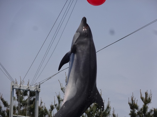 親子旅行に行ってきたよ!_d0166047_15425534.jpg