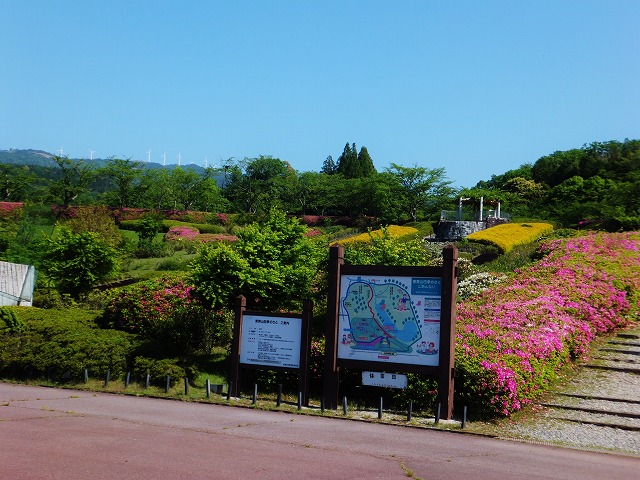 d0048350_1042521.jpg