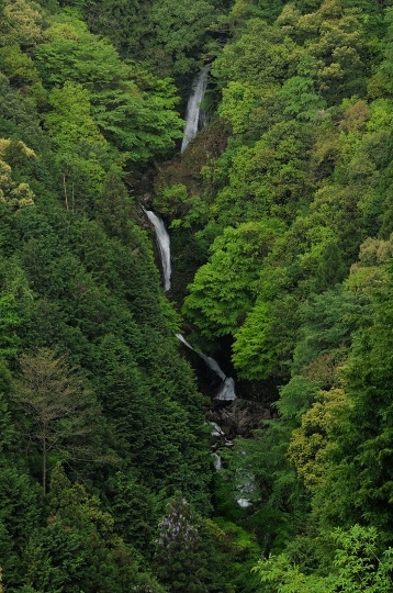 d0048350_1051346.jpg
