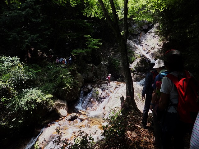 d0048350_1055219.jpg