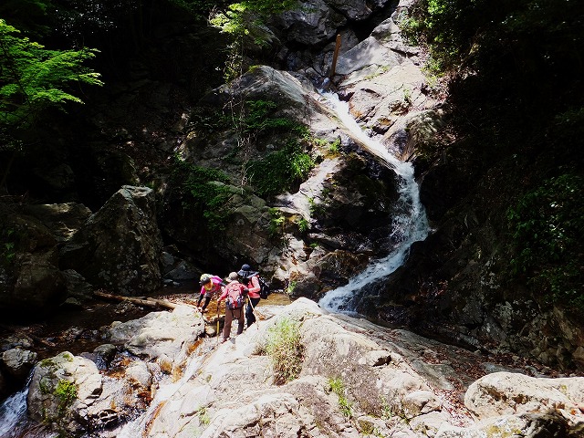 d0048350_10603.jpg