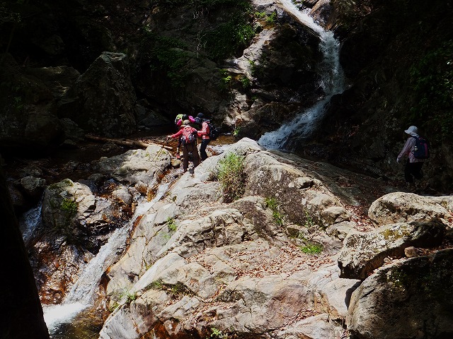 d0048350_1061441.jpg