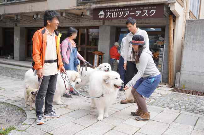 Gwはゆずと ホテルチロル 白樺さんへ ゆっくり歩こうね Gwはゆずと ホテルチロル 白樺さんへ ゆっくり歩こうね
