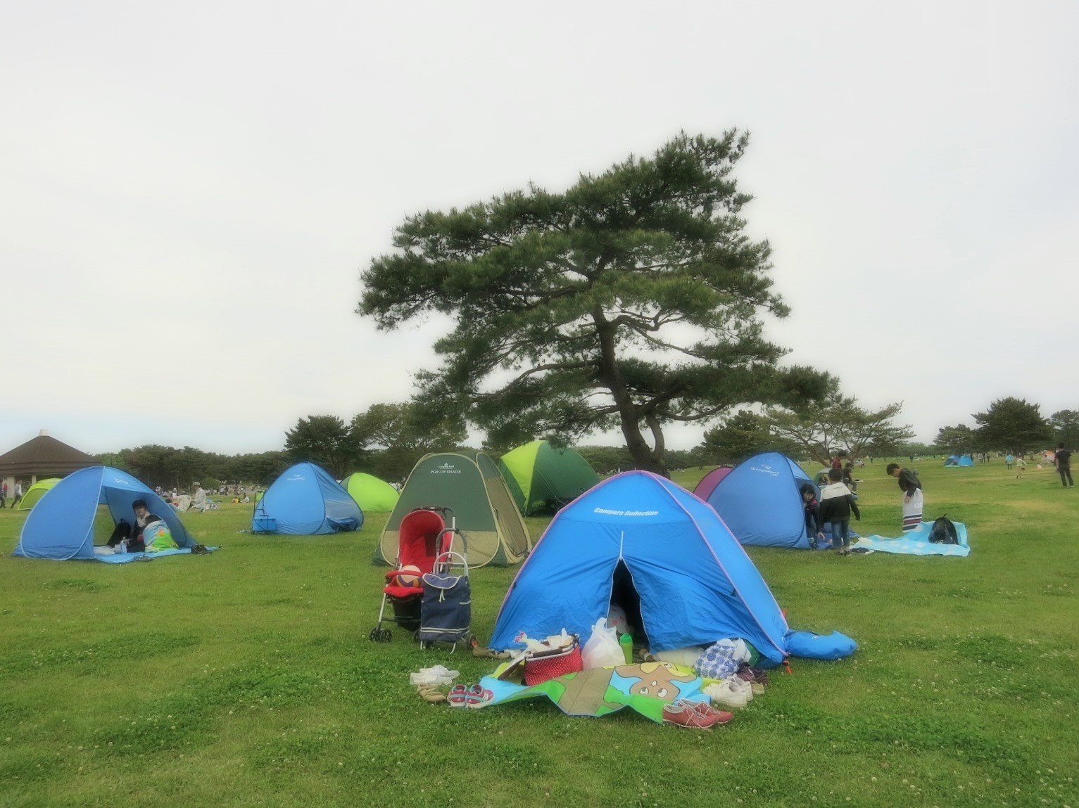 青の世界へ♪　＠国営ひたち海浜公園_f0236260_2205773.jpg