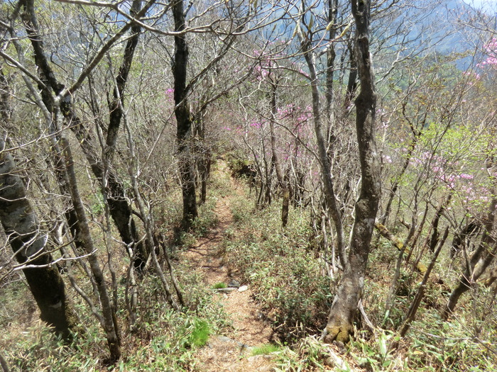 b0185573_61930.jpg
