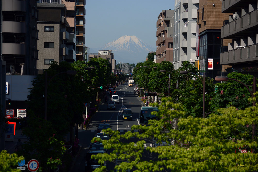 b0190576_15045275.jpg