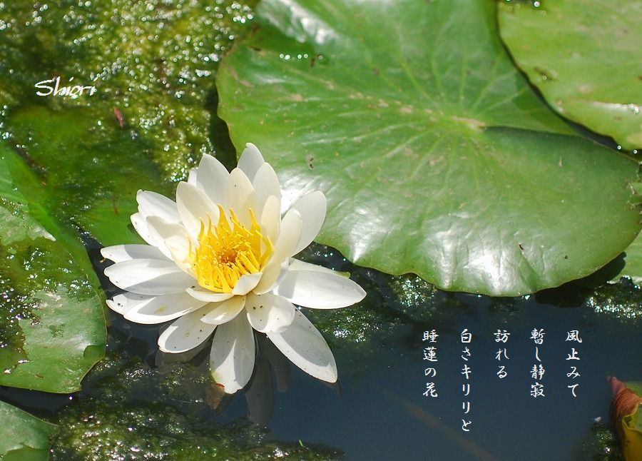 c0187781_18072728.jpg