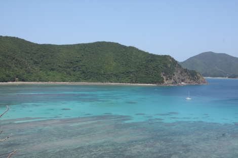 b0207284_6414537.jpg