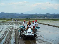 田植え体験（緑ヶ丘小・北郷小）_d0247484_1734146.jpg