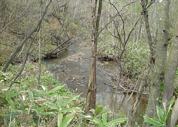 f0078286_12362178.jpg