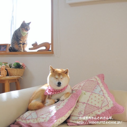 どんなとこでも_a0126590_05321365.jpg