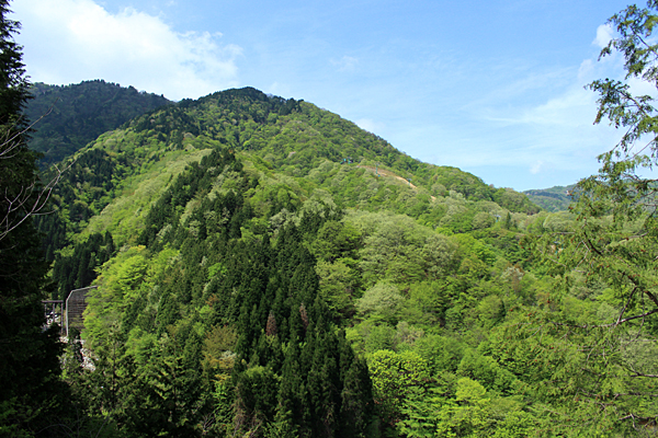 e0108592_1355235.jpg
