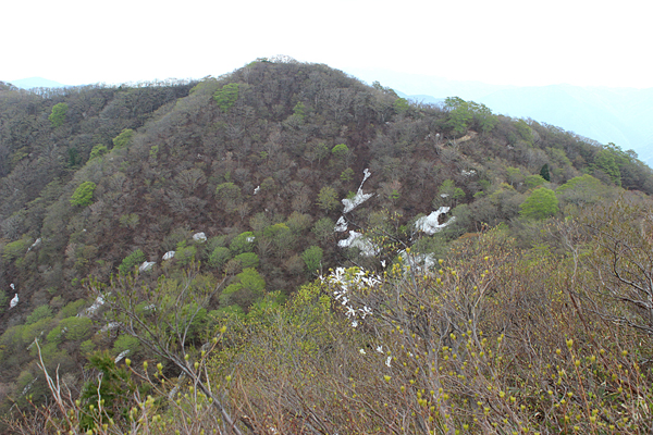 e0108592_1431459.jpg