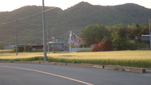 BRM509宇都宮300km栃木路(試走)_a0338094_00430619.jpg