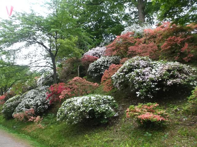 f0019498_17213335.jpg